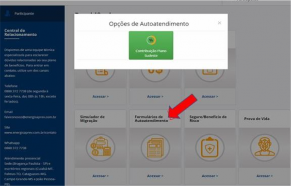 formulario-online-energisa-sudeste